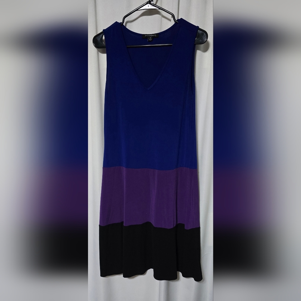 Sharagano Dress Women’s Size 10 Sleeveless V Neck Colorblock Design